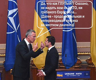 Зеленский хочет в нато зеленский нато