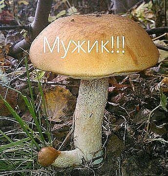 мужичок